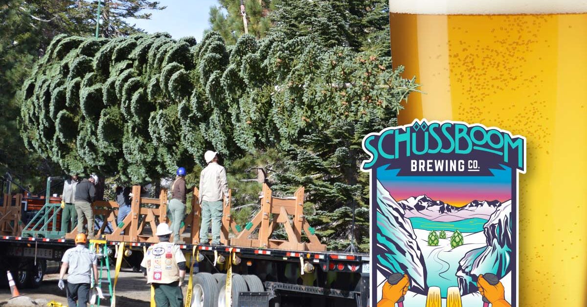 The People's Tree is loaded on a truck and headed to DC with commemorative beer